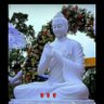 Фото профиля Vishram Singh