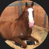 Profilbild von garyarbo