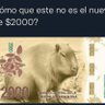 Marcelo Vivas's profile picture