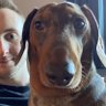 Profilbild von Kurt