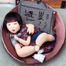 呱呱叫 的头像