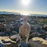 Sipa•🫀 profil fotoğrafı