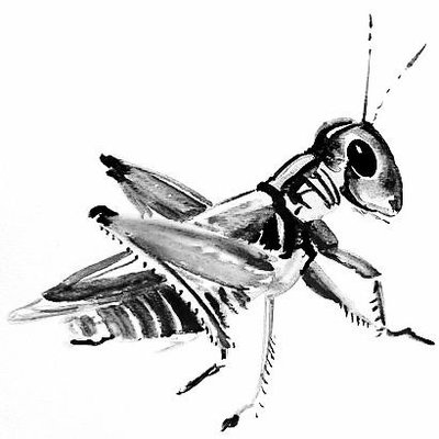 chekirge's profile picture