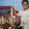 Campeche Emprendedores's profile picture