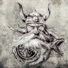 VikingTim's profile picture