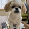 なかやす 的头像