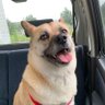 くみ's profile picture