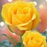 Фото профиля Rabee