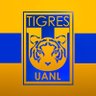 Фото профиля ¿Listo para hacer corajes con Tigres?