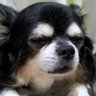 けん's profile picture