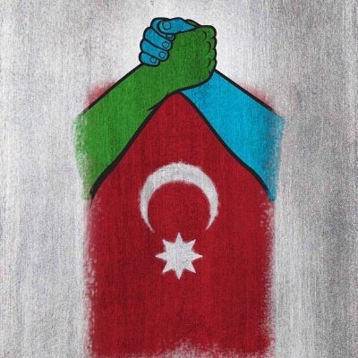 IranDefol's profile picture