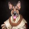 Chelle's profile picture