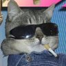 Profilbild von Mr. Hoochie Coochie Man