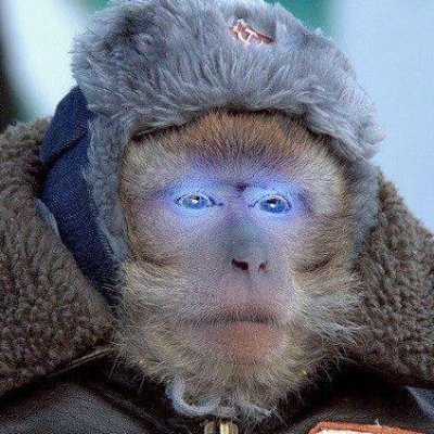 🍺 Штурмослав ★ Ростов 🦞's profile picture