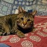 Фото профиля あらた☆きじまる