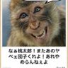 スネーク 的头像