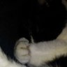 @せと profil fotoğrafı