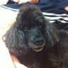 え〜じ's profile picture