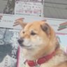 カスペン大佐 的头像