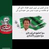 N. Rehman's profile picture