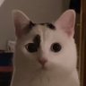 Russell's profile picture