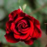 Фото профиля علاء الدين