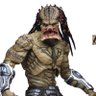 Profilbild von AsexualPredator