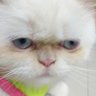 Фото профиля ปั่นแบบมั่วซั่ว ตั้วเล็ง