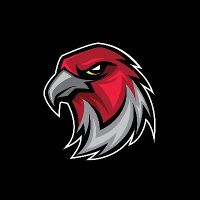ATLFalconsGER's profile picture