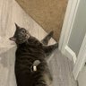 Mili's profile picture
