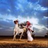 naif alkaeed's profile picture
