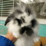 Lu's profile picture