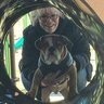 Фото профиля K.Clark 🐈‍⬛ 🐶🌊♀️☮️💙🌻🇺🇦🗳🌈🇺🇲🏍