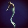 LAVeganNative 🏹 🧜♀️🐬🐳🐋🌊 profil fotoğrafı