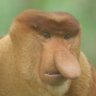 Profilbild von Dylion ديليون
