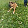 K P profil fotoğrafı