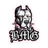 Profilbild von Bad Music Group LLC