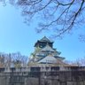 Фото профиля なんこ