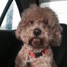 Benji Ω's profile picture