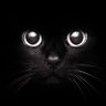 Anarmir's profile picture
