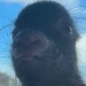 Profilbild von Scumbag Reseller
