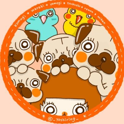 よしりん*ﾟ's profile picture
