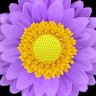 SummerPatch's profile picture