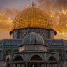 Фото профиля ياسر الشهري