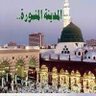 Ali Chikh's profile picture