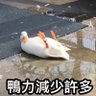 Profilbild von 東尼始塔克