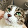 Profilbild von Toni