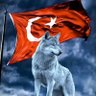 Profilbild von Doğan Doğan