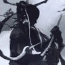 Фото профиля 潇遥