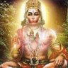 Profilbild von Dr Umesh k Singh